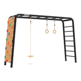 BERG PlayBase Wooden Disc Swing
